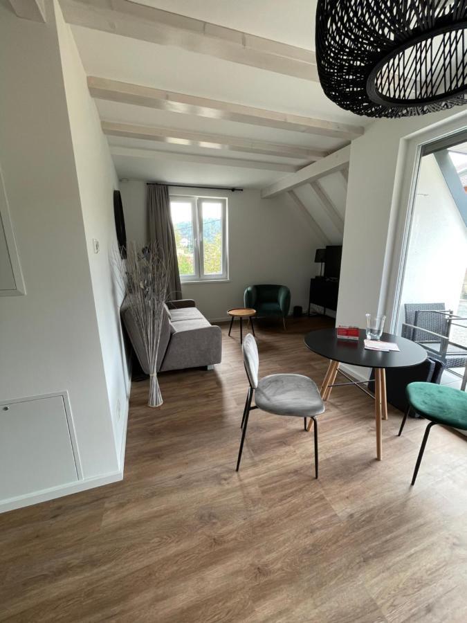 Neues Ferienhaus Kurort Gohrisch Exterior foto